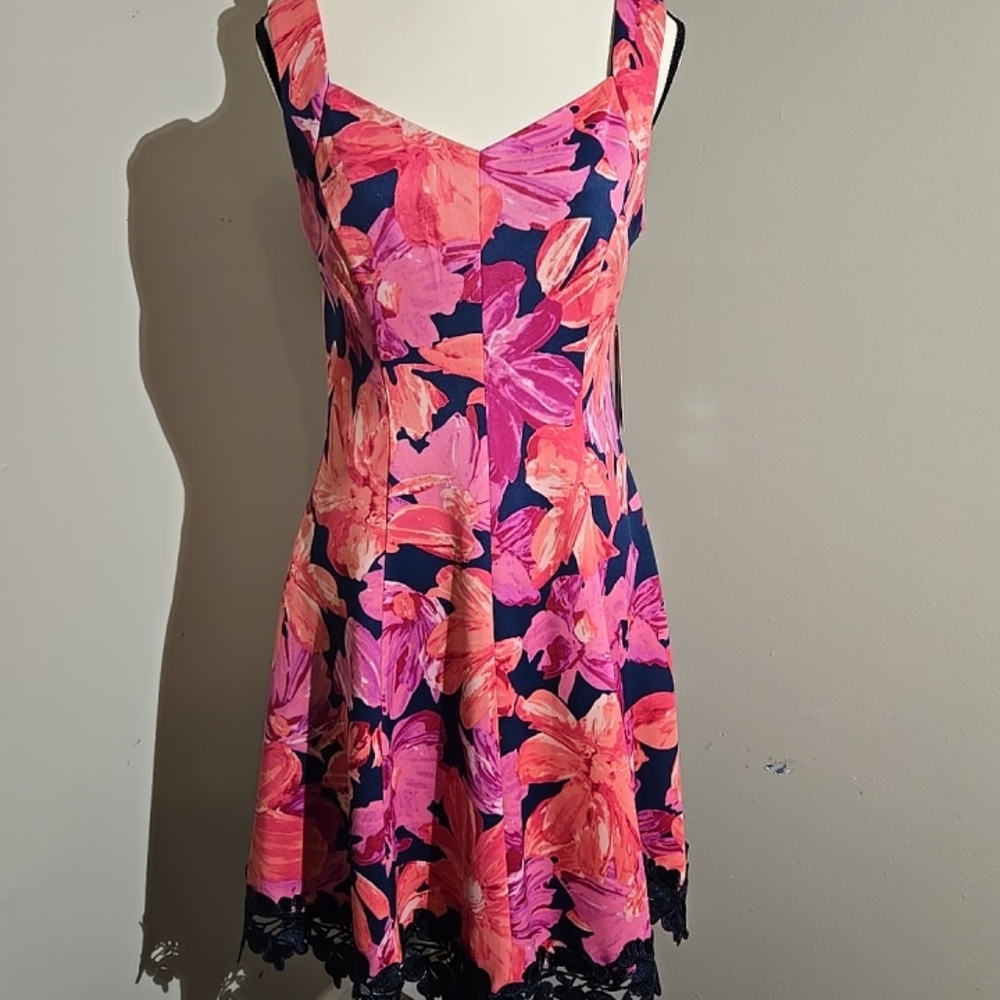Donna Ricco New York Floral Fit & flare Sleeveless Lined Lace Hem Dress  8 NWT